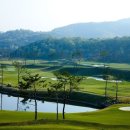 드래곤골프클럽 이미지