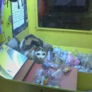 뽑기한판 이미지