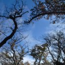 사라의 정원 이미지