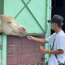 현 목장 이미지