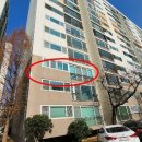 하단동1176 이미지