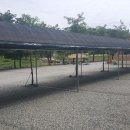 벌곡오토캠핑장 이미지