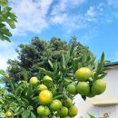 해~랑펜션 이미지