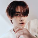 리노프레쉬 이미지