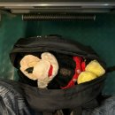 대동식당민박 | 24년 10월 하반기: 너 납치된 거야