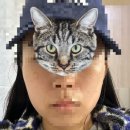 톤즈의원 | 톤즈의원 평택점 후기 (주근깨, 기미, 줌패스, 보톡스, 점빼기 등)