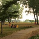 보강천 체육공원 이미지