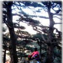 청운봉 Daum카페