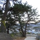 하동읍 이미지