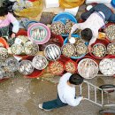 찌지고 뽁고 꿉고 이미지