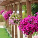 카푸치노펜션 이미지