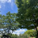 서낭당근린공원 | 임팩트가 자주 찾는 곳 : 서낭당 근린공원 (From, 블로그씨)