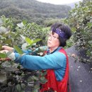 만인농장 이미지