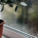 책 읽어주세요 2기 이미지