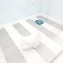 힐스타운 동물병원 이미지