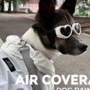 퍼피엔젤 이미지