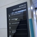 일등치과의원 | 내마음일등치과 후기