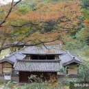 공존스테이 이미지