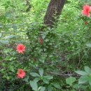 홍류동 화장실 이미지