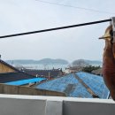 호령민박 이미지