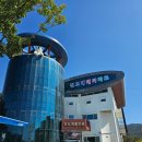 진도개 53카페 | [진도 여행] 진도개 테마파크 공연을 못 본다면 패스하셔도 좋음