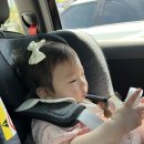 청솔식물원 | 11개월 아기와 6월 포천 1박2일 여행 | 청솔어죽명가, 카페 팜브릿지, 키즈몽펜션, 양평종가집해장국...