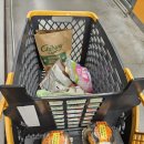 홍천 뜨란 오토캠핑장 | 캠핑로그05. 홍천 뜨란오토캠핑장