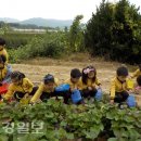 아포초등학교유치원 이미지