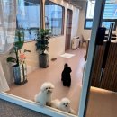 올데이 그루밍 이미지