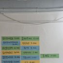 문규네갑오징어