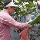 미진농장 이미지