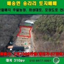 매송농장 이미지