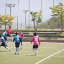 인제군수기 축구대회 개최 이미지