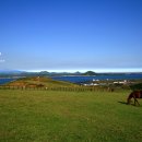 눈꽃회관 이미지