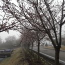 거창노인전문요양원 이미지