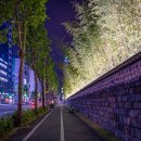 둔산 선사유적지 이미지