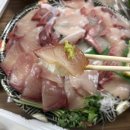 어촌 | 청주 분평동 방어회맛집 어촌별미 배달후기