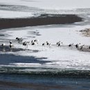 두루미네 이미지