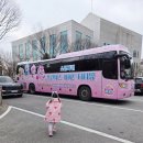 사랑의 하츄핑 | 원주 뮤지컬 사랑의 하츄핑 리얼후기