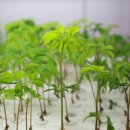 (주)이노진 이미지