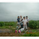 요아킴농장 이미지