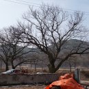 외할머니집 이미지