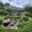 영동식당 | 영동 장수식당 후기｜청국장·제육볶음 맛있는 시골 맛집 (뉴스프링빌2 근처 점심 추천)