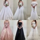 풍성 | [촬영가봉] 레이앤코 촬영드레스 셀렉 후기(풍성3, 유색1)