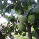 청웅우체국 이미지