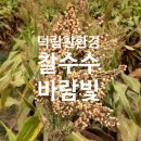 덕림환경 이미지