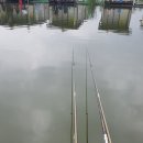 새물낚시터 이미지