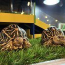 와우안길 이미지