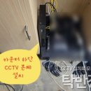 화인츠