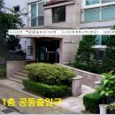 분당-206 이미지